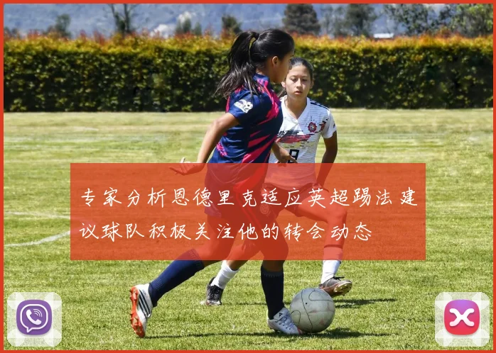专家分析恩德里克适应英超踢法建议球队积极关注他的转会动态