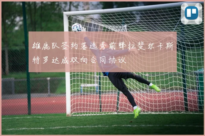 雄鹿队签约落选秀前锋拉斐尔卡斯特罗达成双向合同协议
