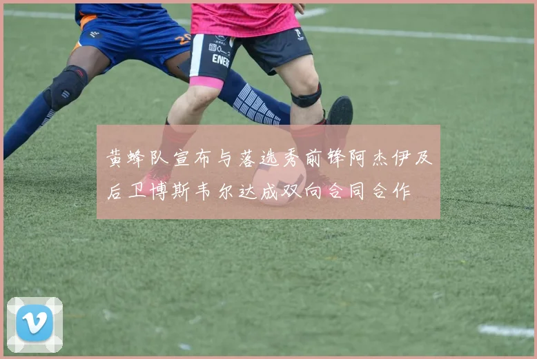 黄蜂队宣布与落选秀前锋阿杰伊及后卫博斯韦尔达成双向合同合作